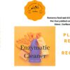 Enzymatic Cleaner - Image 2