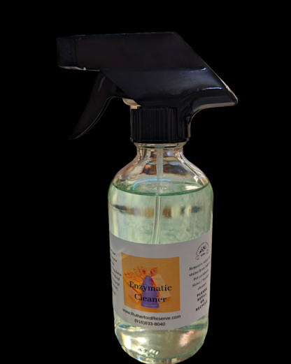 Enzymatic Cleaner